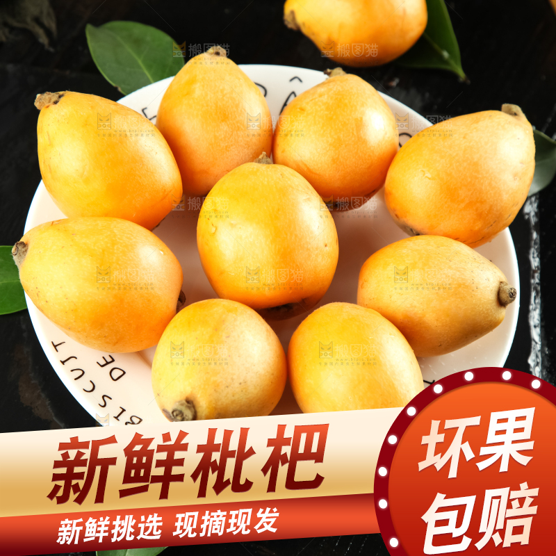 枇杷