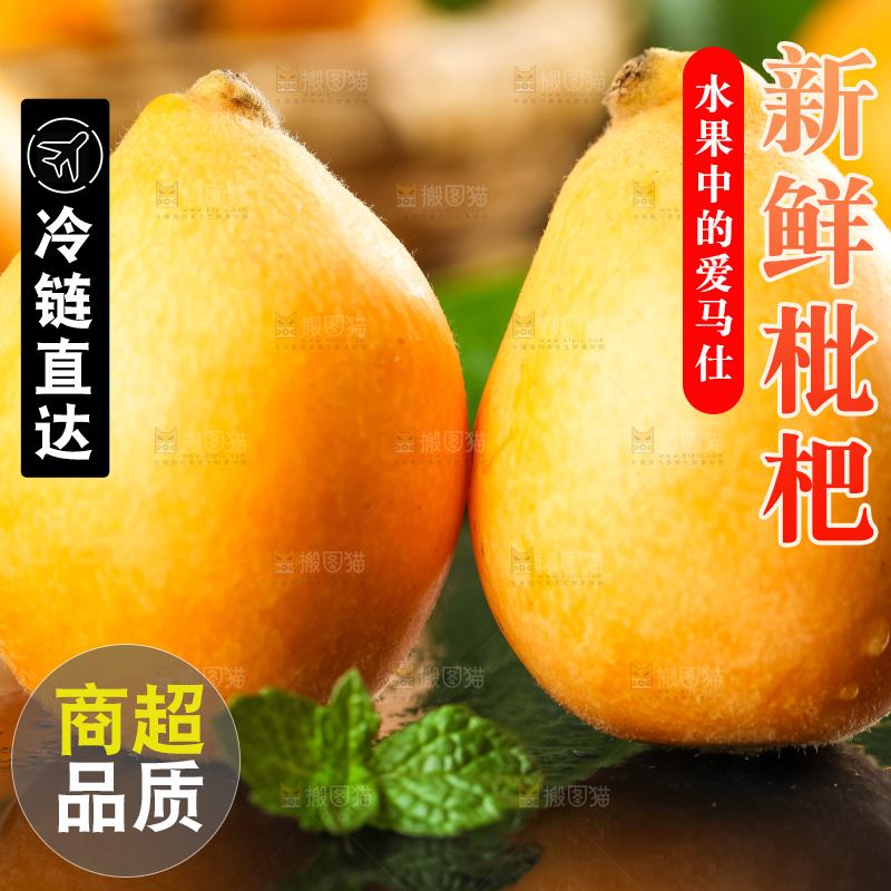 枇杷