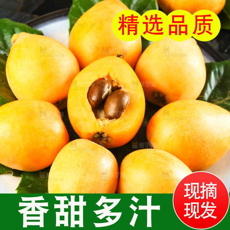 枇杷