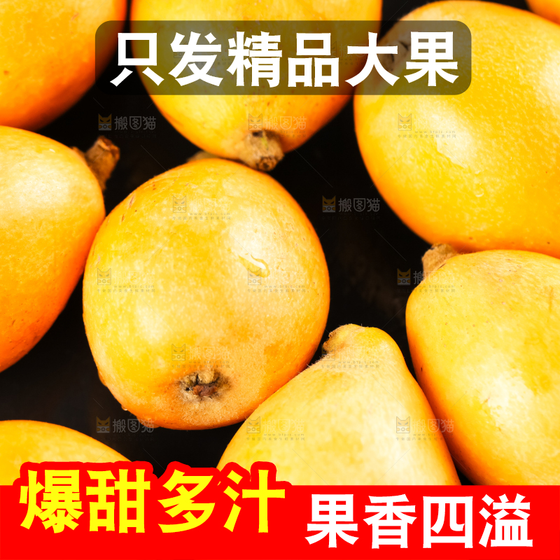 枇杷