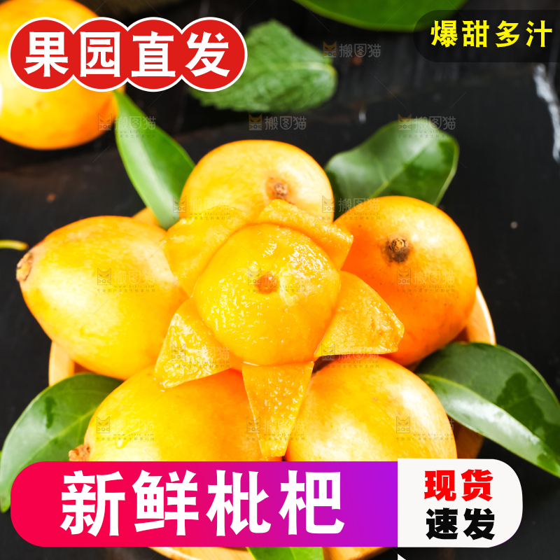 枇杷