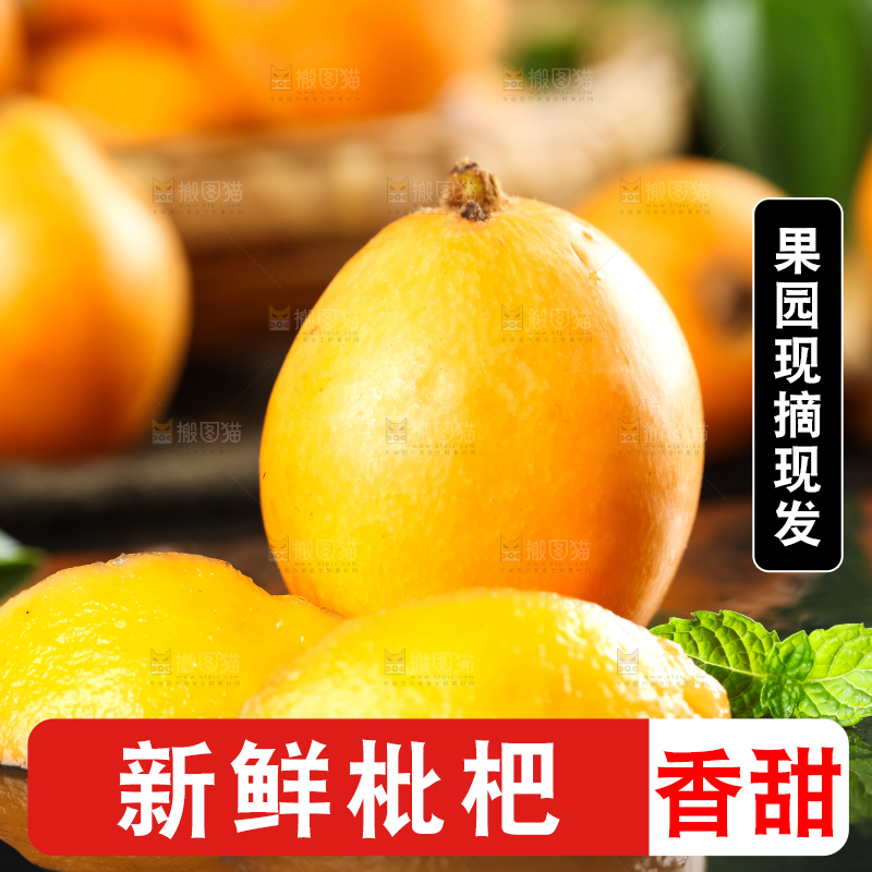 枇杷