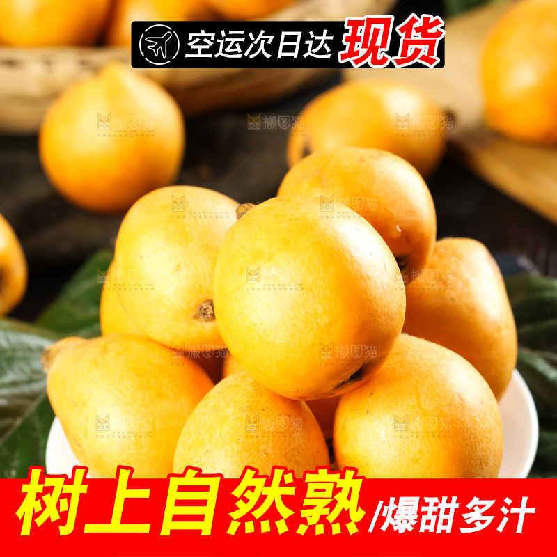 枇杷