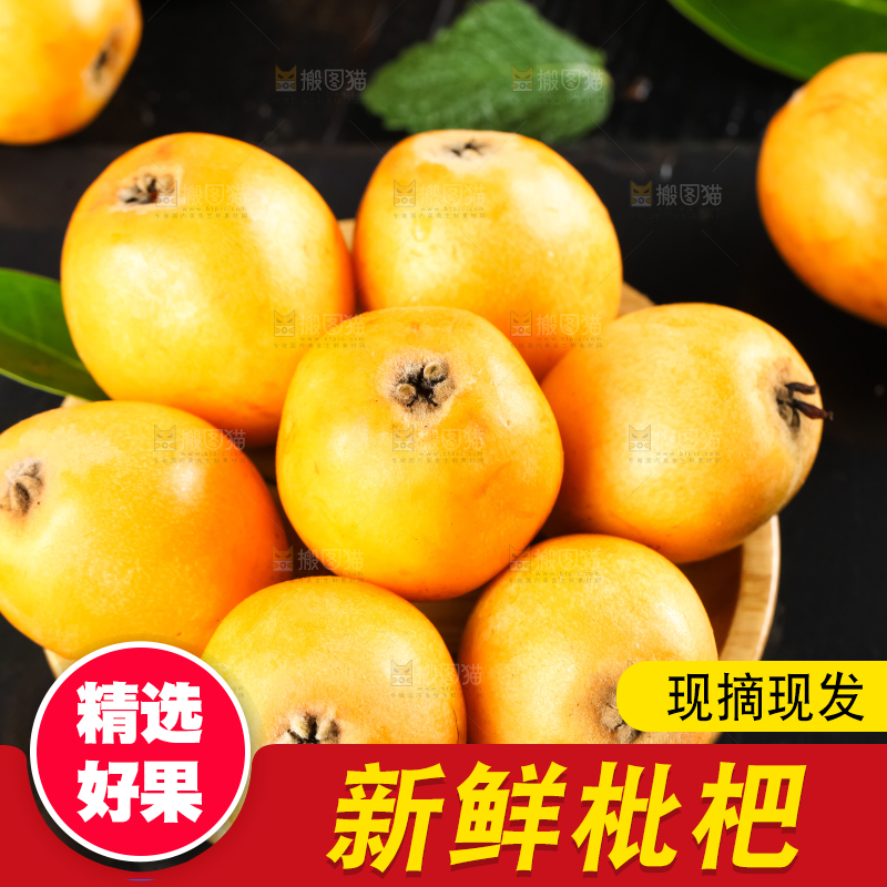 枇杷