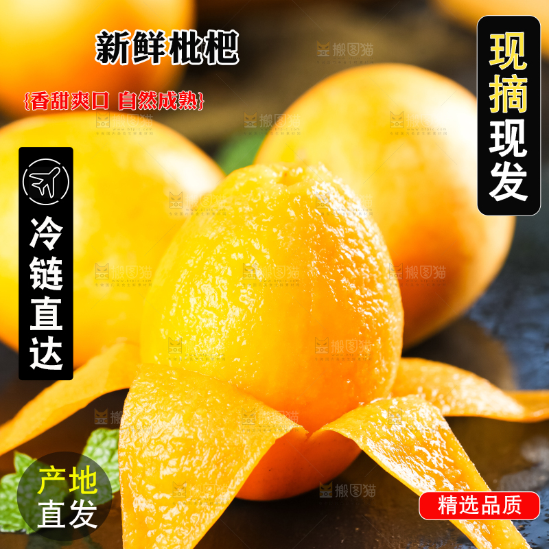 枇杷