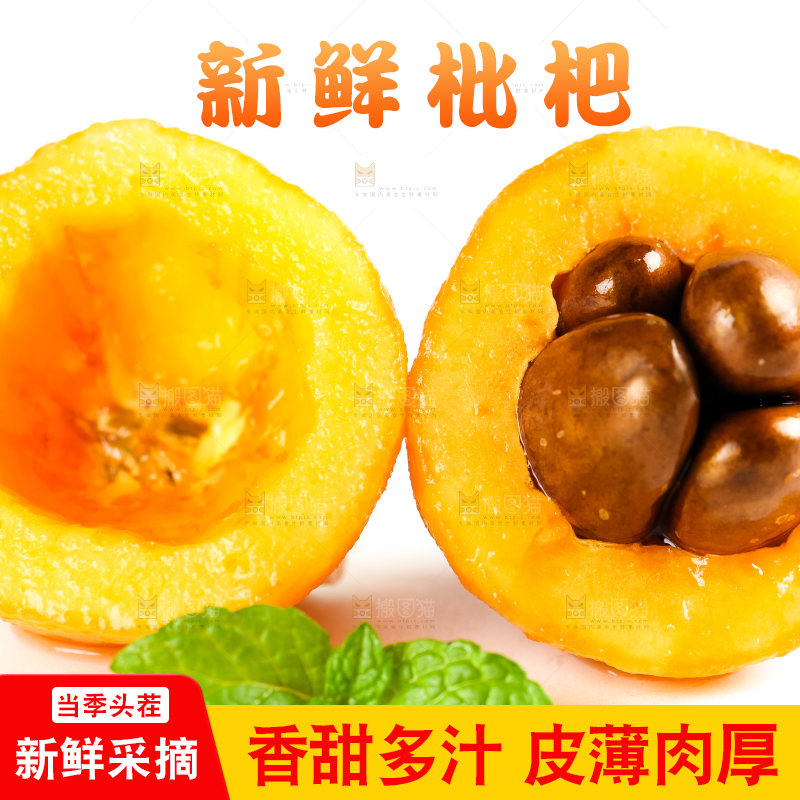 枇杷