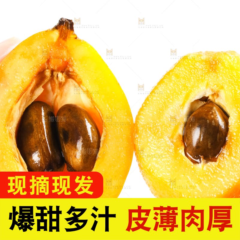 枇杷