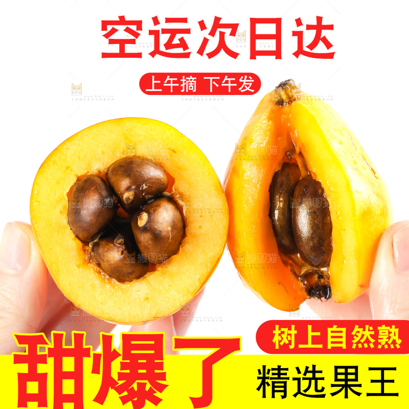 枇杷