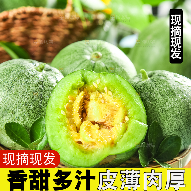绿宝甜瓜