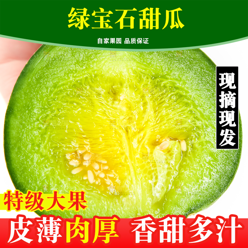 绿宝甜瓜