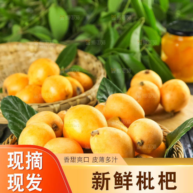 枇杷
