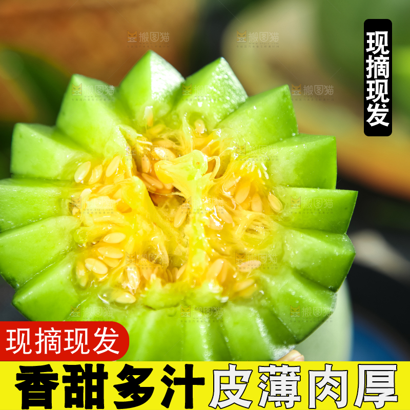 绿宝甜瓜
