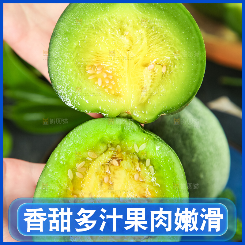 绿宝甜瓜