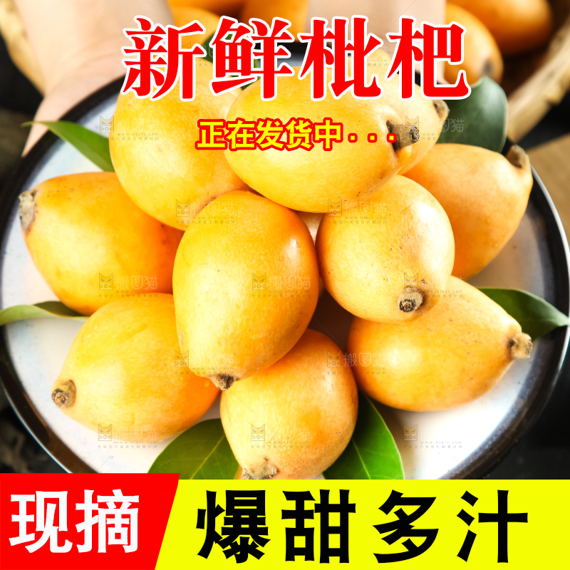 枇杷