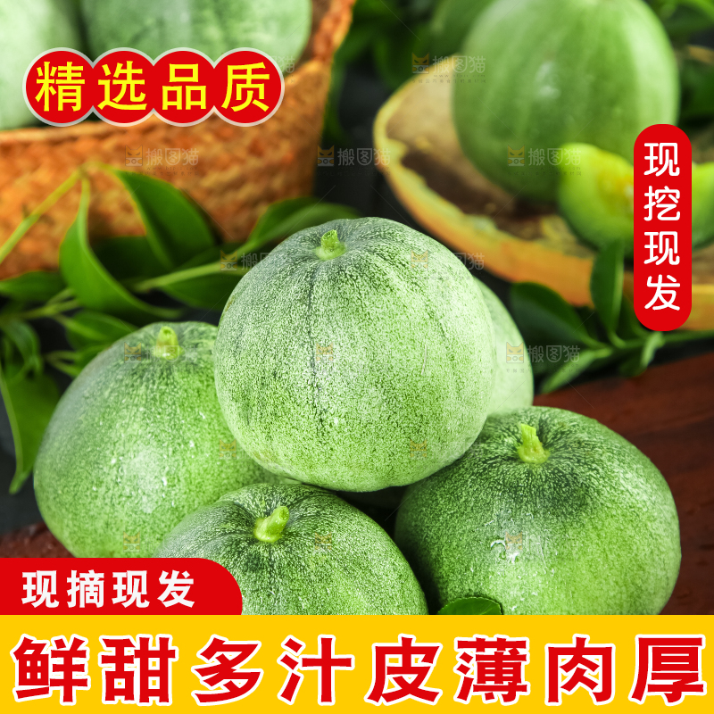 绿宝甜瓜