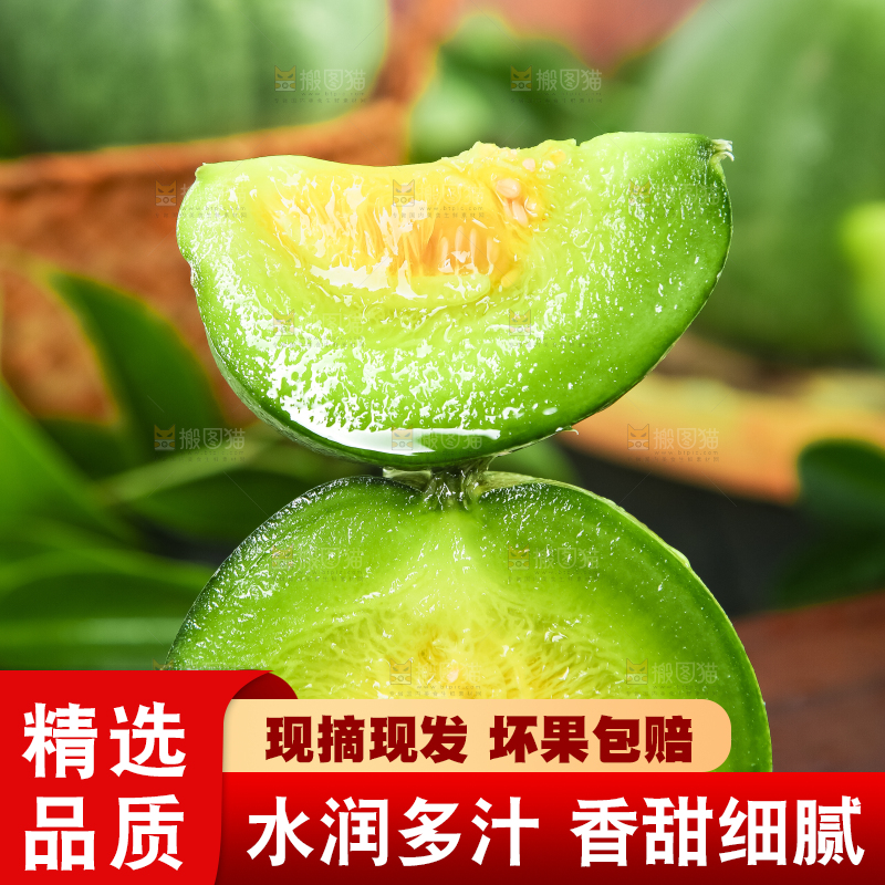 绿宝甜瓜