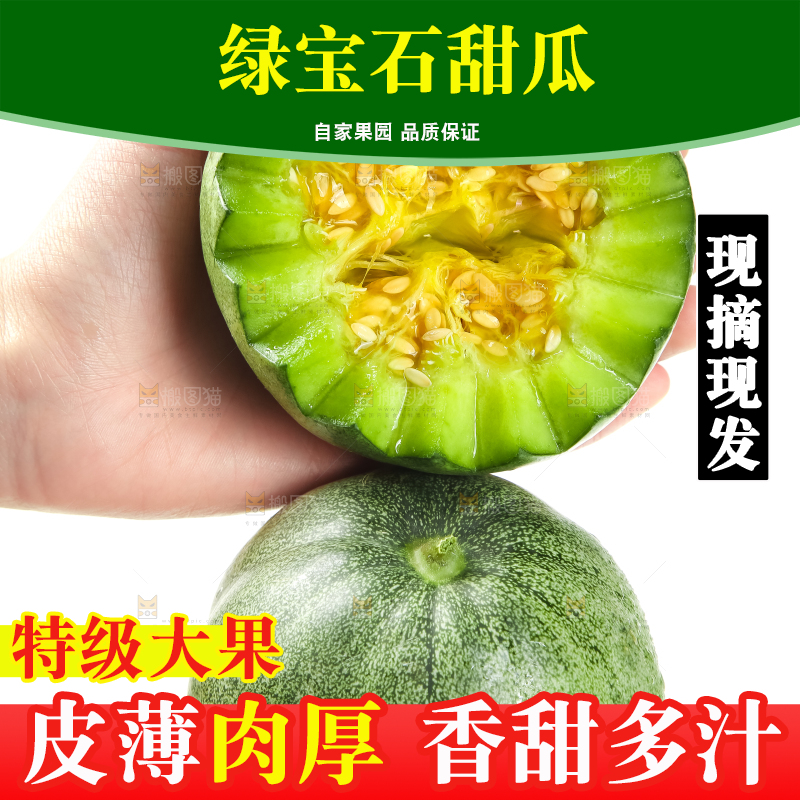 绿宝甜瓜