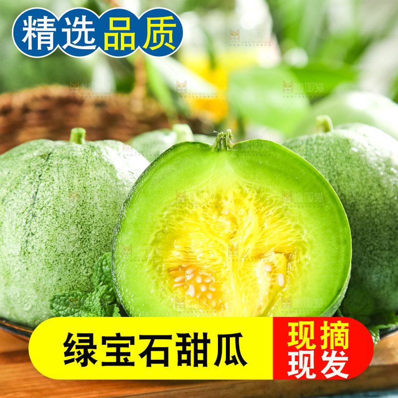 绿宝甜瓜