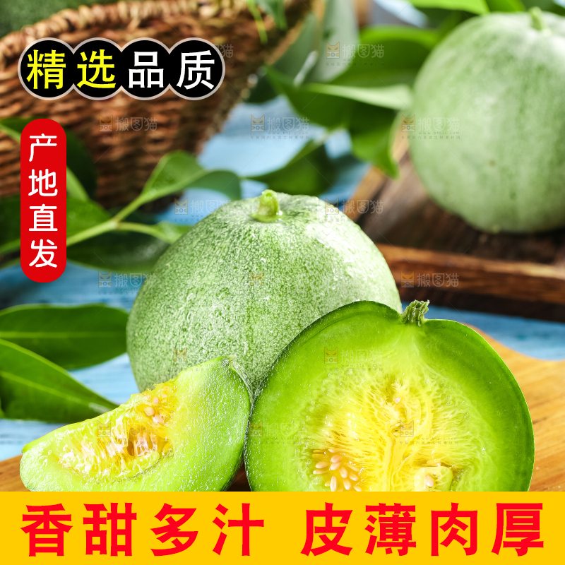 绿宝甜瓜