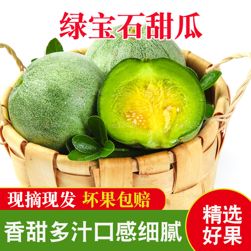 绿宝甜瓜