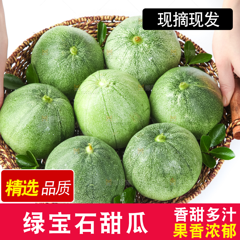 绿宝甜瓜