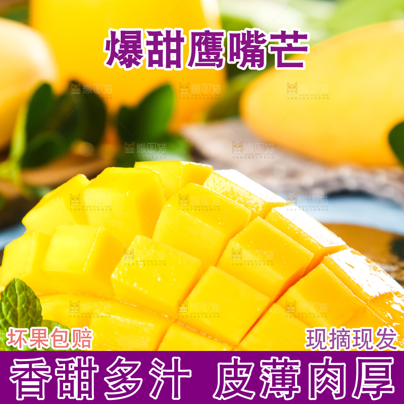 鹰嘴芒