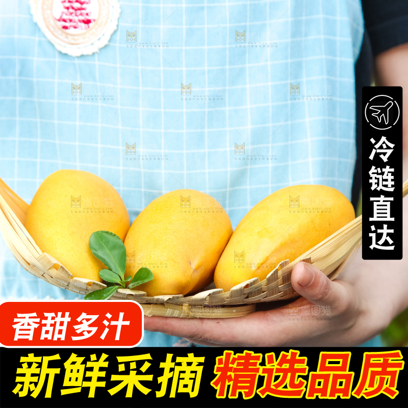 鹰嘴芒