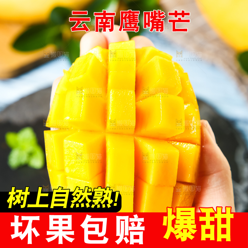 鹰嘴芒