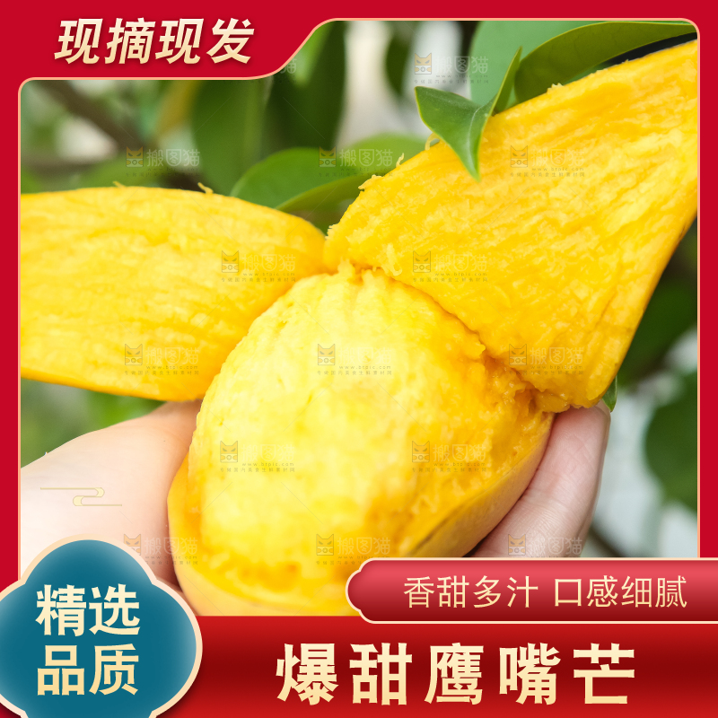 鹰嘴芒
