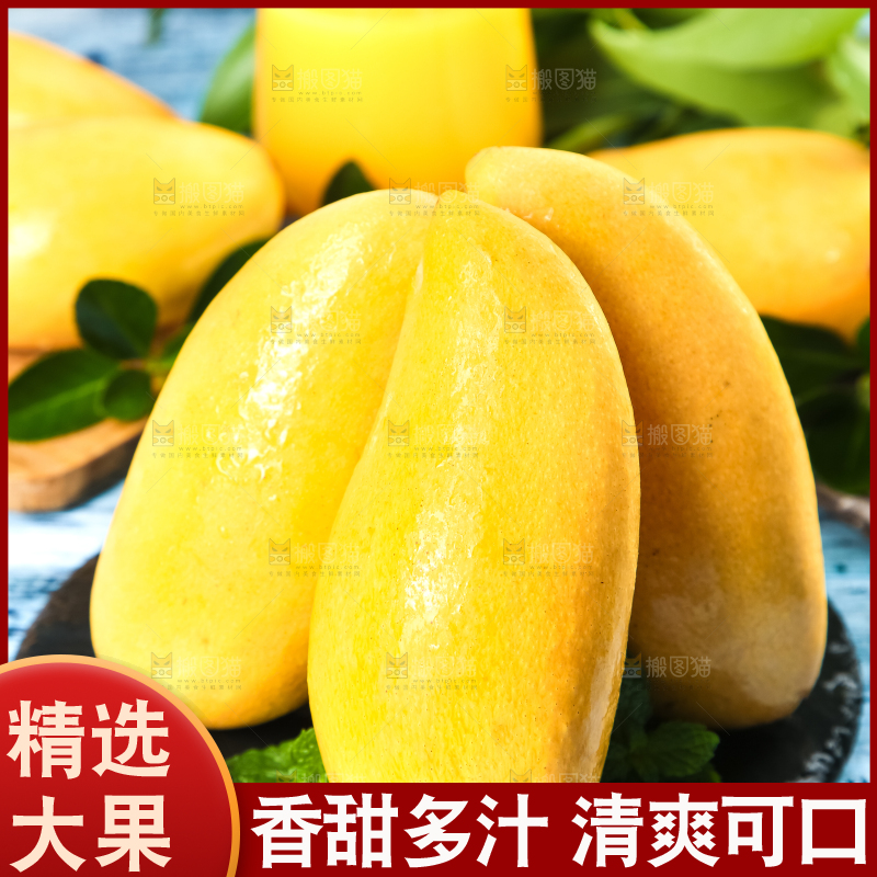 鹰嘴芒