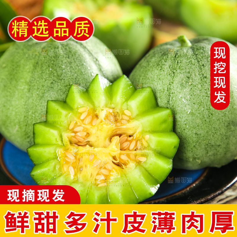 绿宝甜瓜
