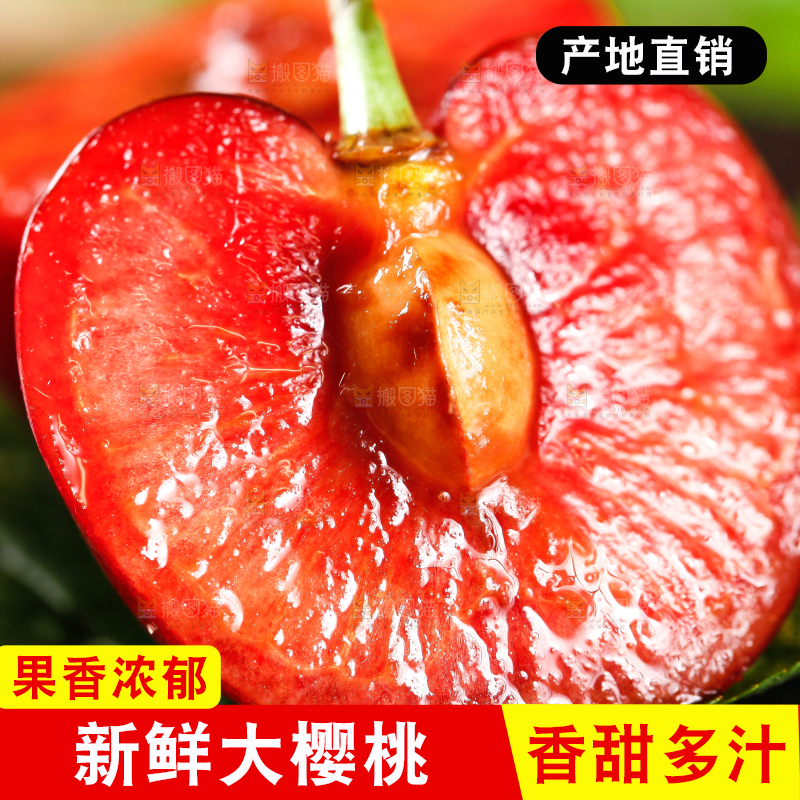 大樱桃