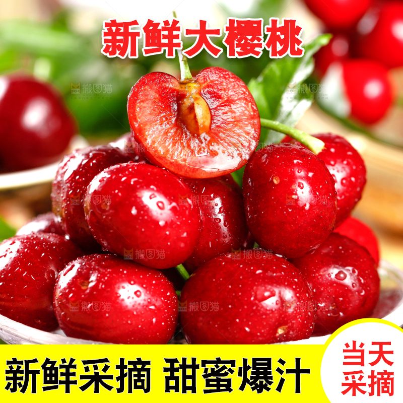 大樱桃