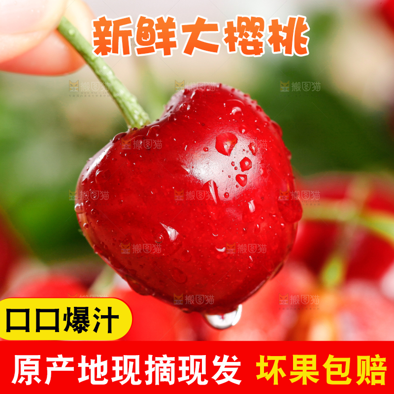 大樱桃