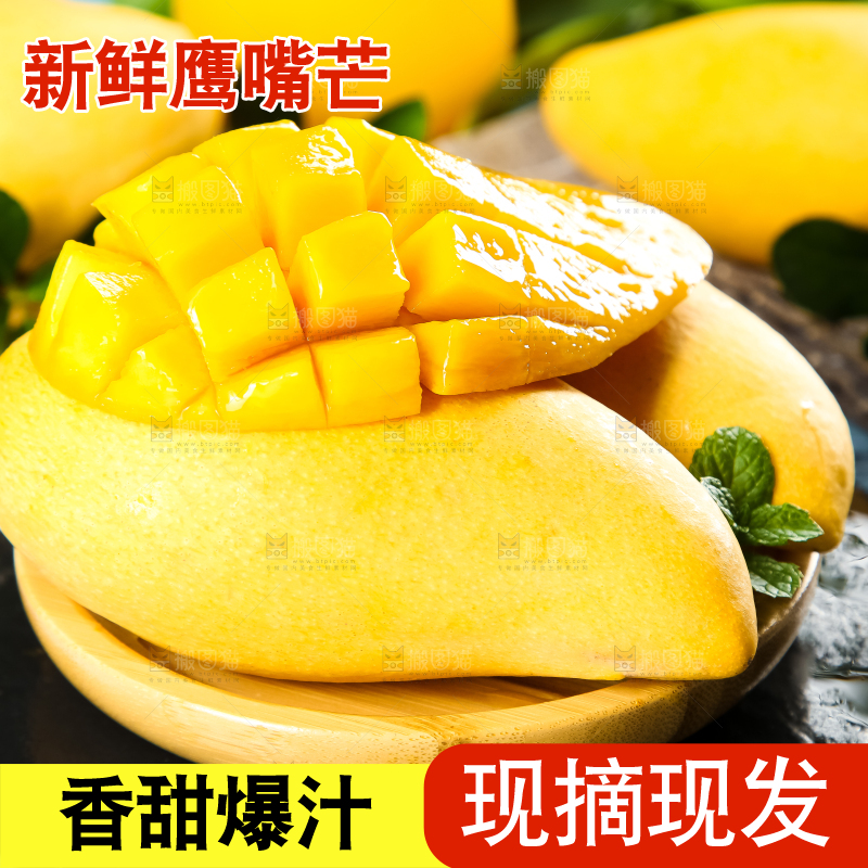 鹰嘴芒