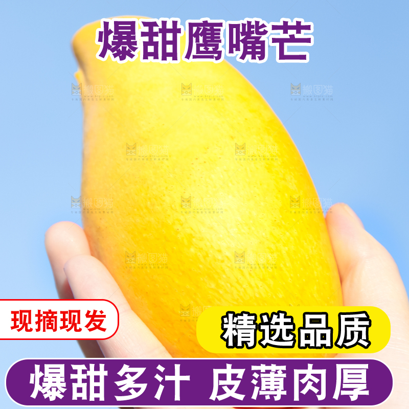 鹰嘴芒