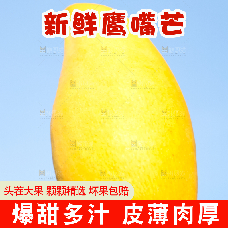 鹰嘴芒