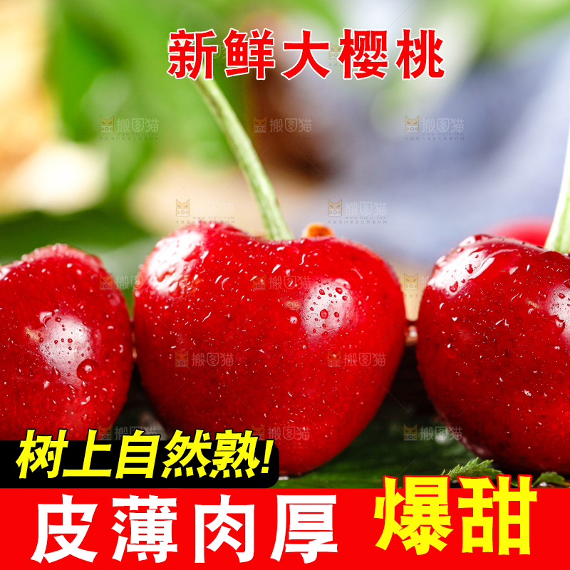 大樱桃