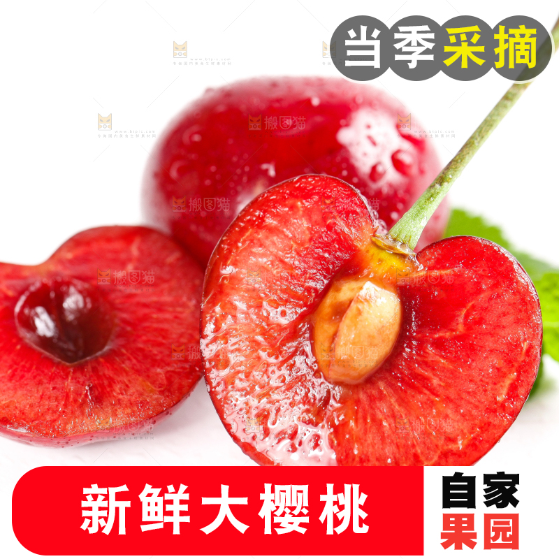 大樱桃