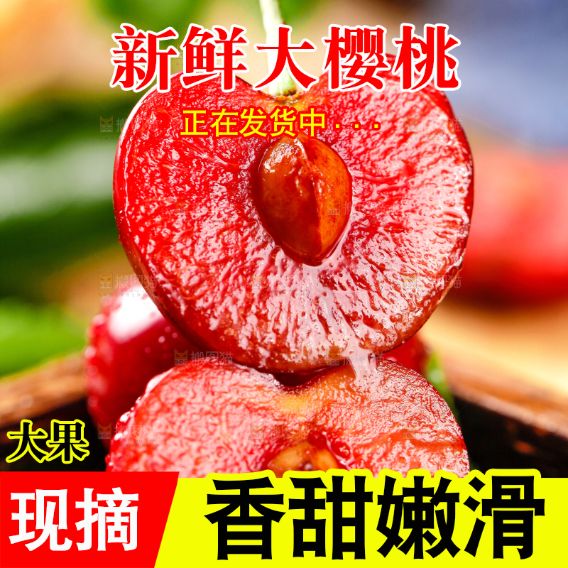 大樱桃