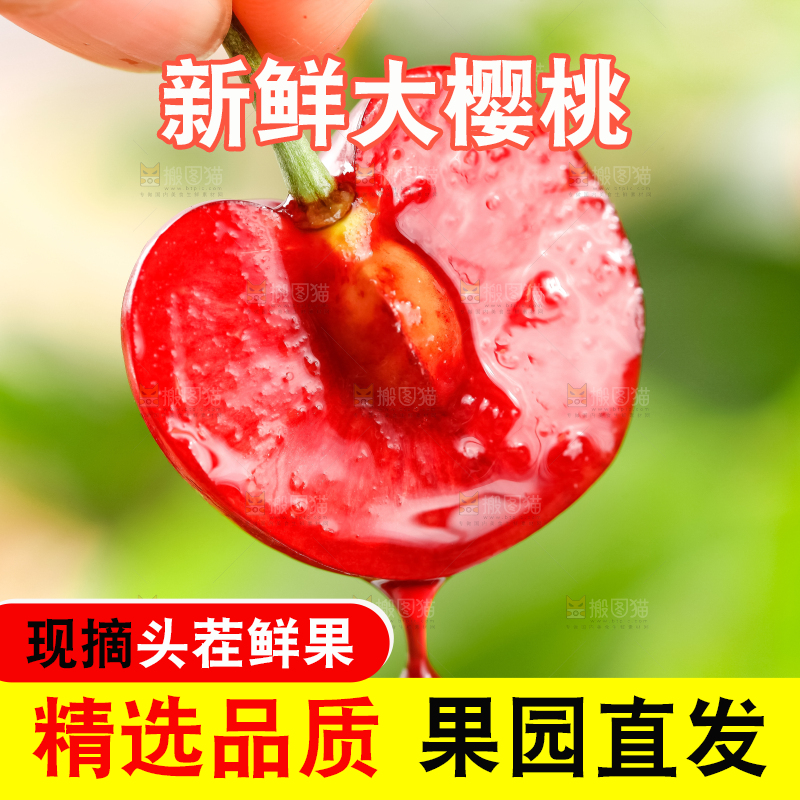 大樱桃