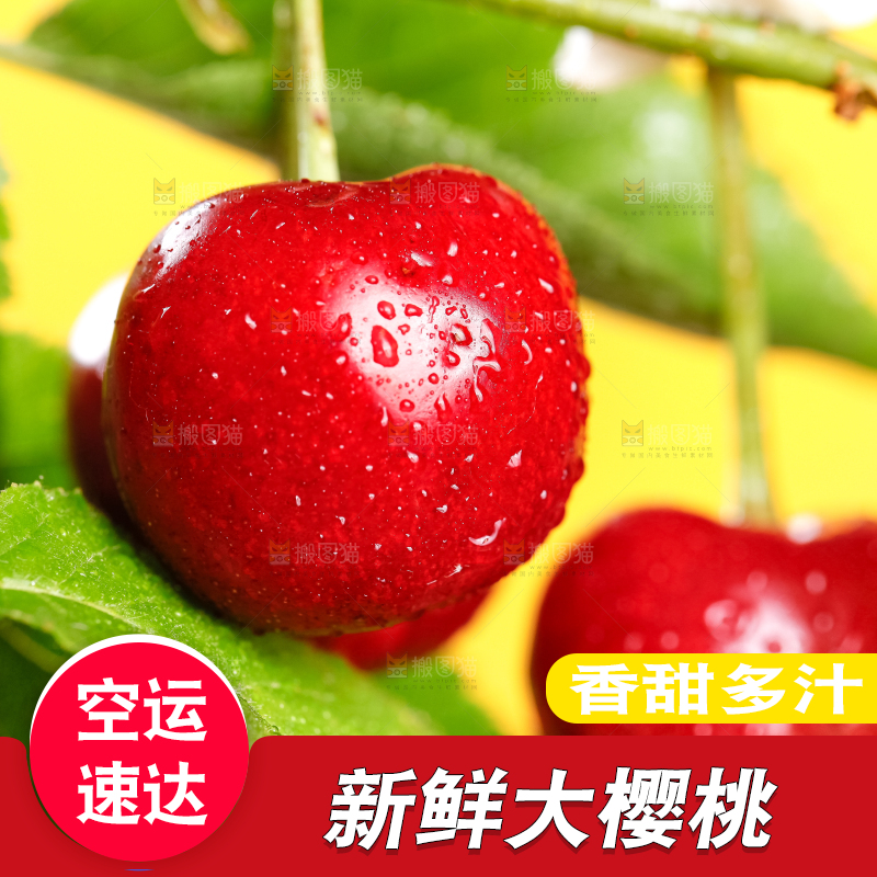 大樱桃