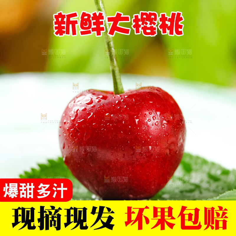 大樱桃