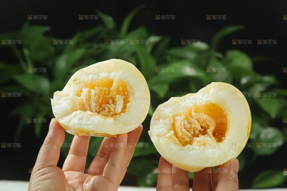 小蜜蜂甜瓜