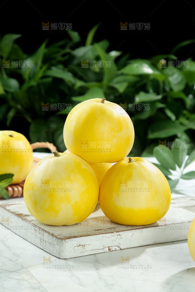 小蜜蜂甜瓜