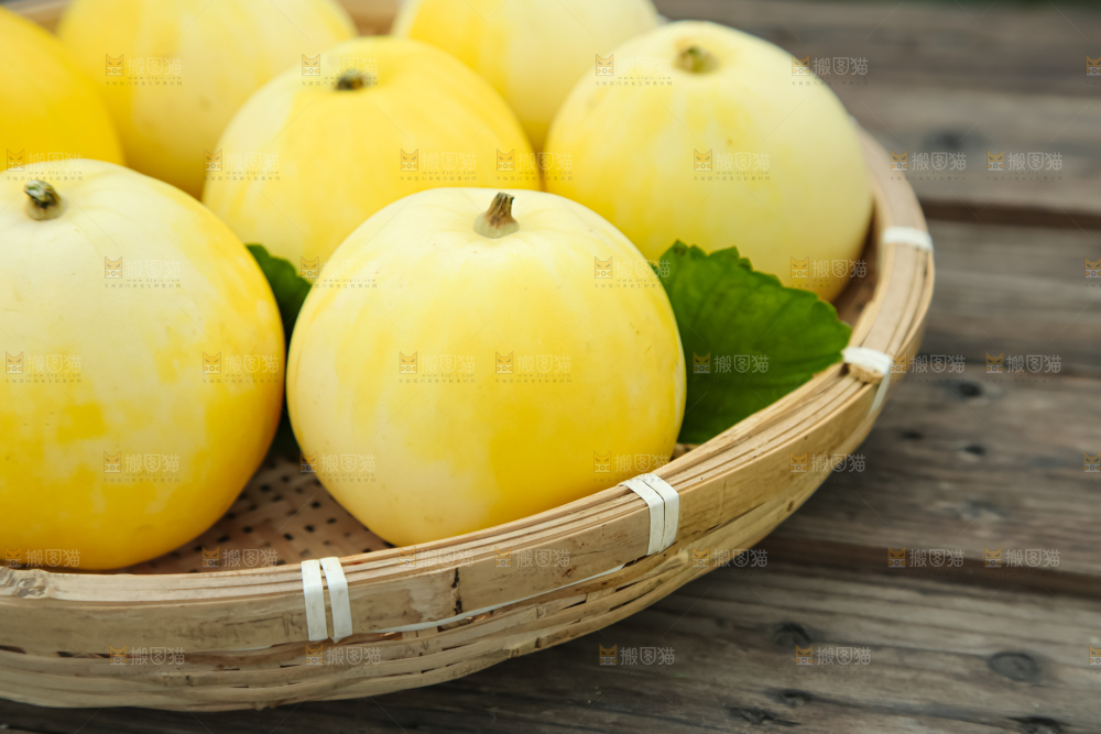 小蜜蜂甜瓜