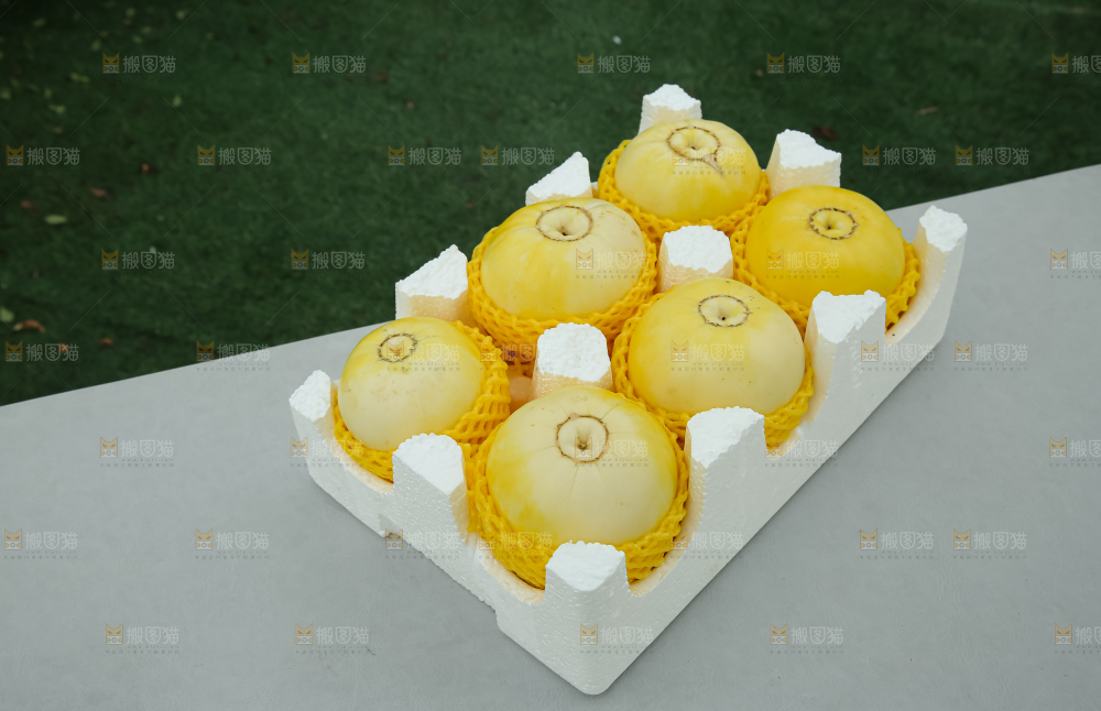 小蜜蜂甜瓜