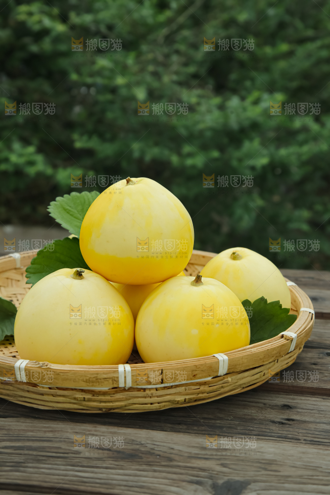 小蜜蜂甜瓜