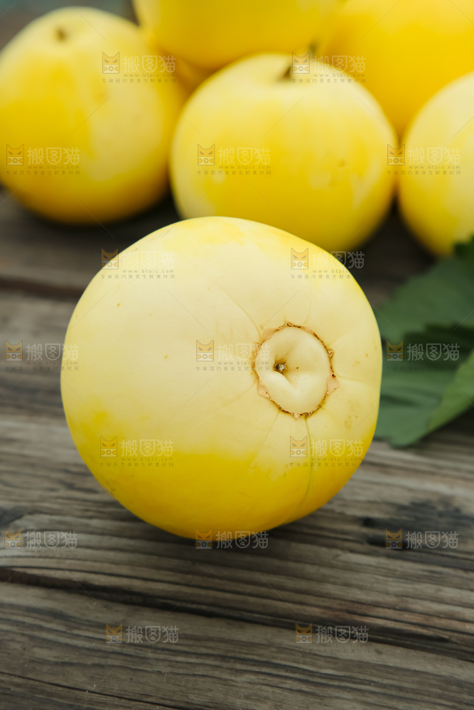 小蜜蜂甜瓜