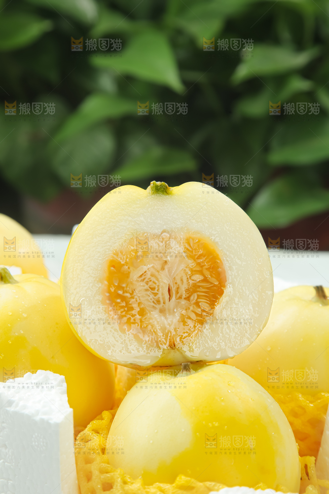 小蜜蜂甜瓜